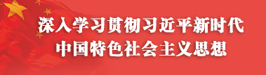 深入學(xué)習(xí)貫徹習(xí)近平新時(shí)代中國(guó)特色社會(huì)主義思想